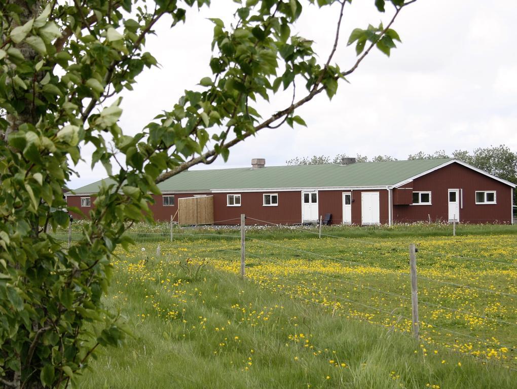 Kaldbakur Guesthouse Heimaland Zewnętrze zdjęcie