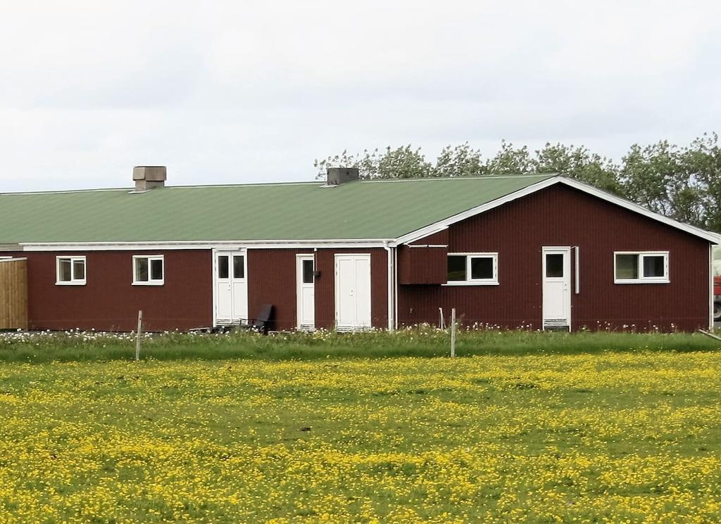 Kaldbakur Guesthouse Heimaland Zewnętrze zdjęcie